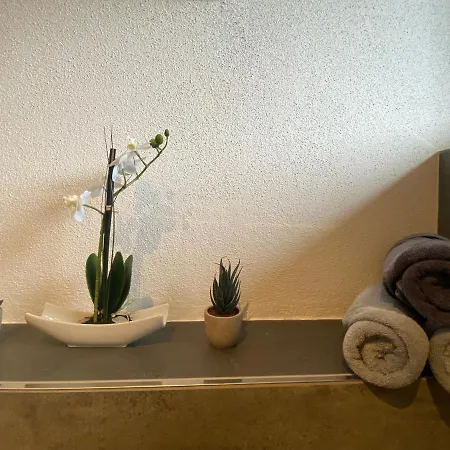 Apartment Moser *